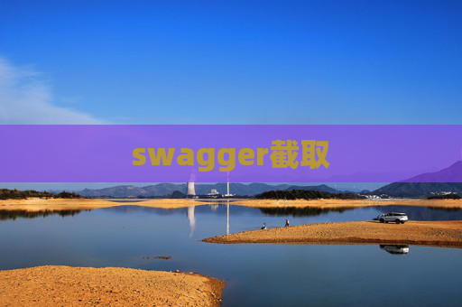 swagger截取